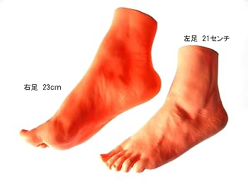Amazon.co.jp: 足の模型 女性 左足21cm 実物大 : 産業・研究開発用品